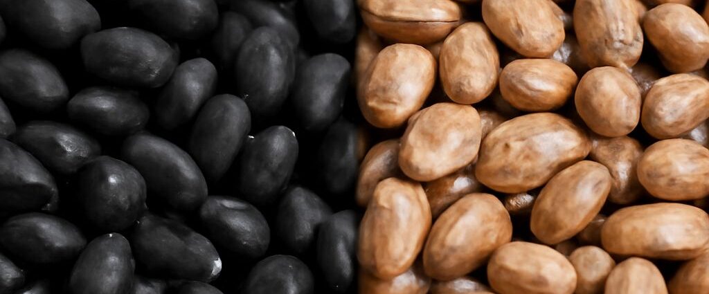 Black beans and pinto beans in bowls for comparison