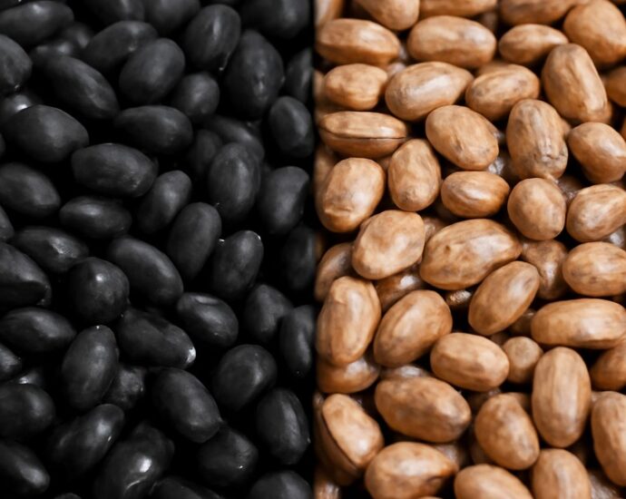 Black beans and pinto beans in bowls for comparison