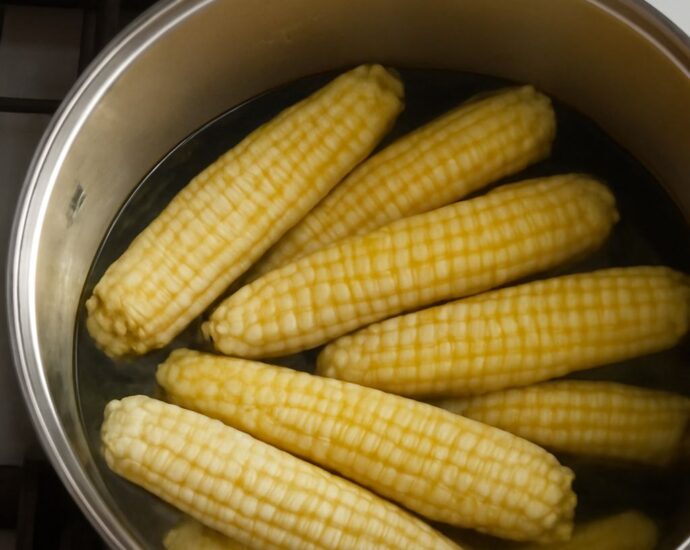 Blanching corn for freezing with corn ears, pot, and ice bath