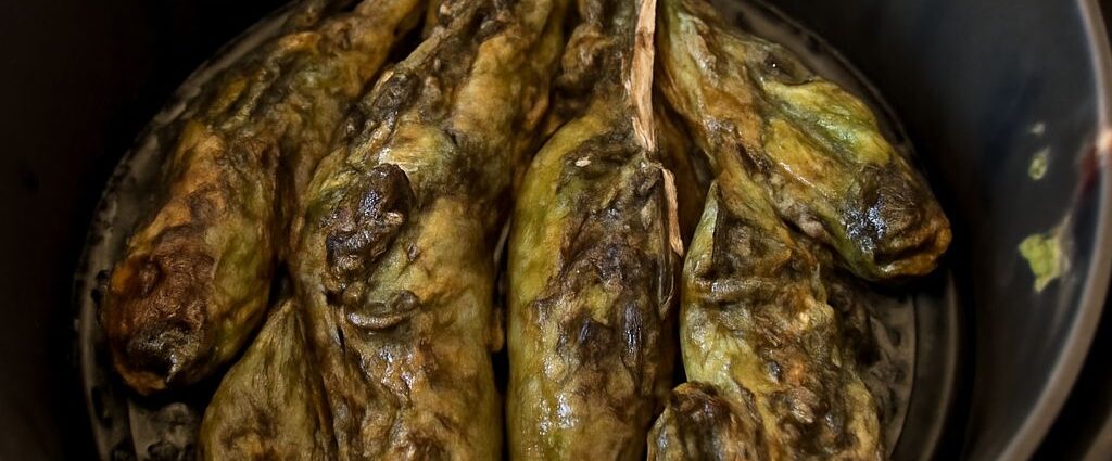 A guide on how to roast poblano peppers to create delicious roasted poblano peppers at home.