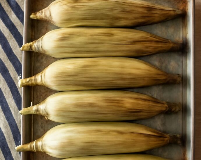 Oven roasted corn on the cob in husk on a baking tray