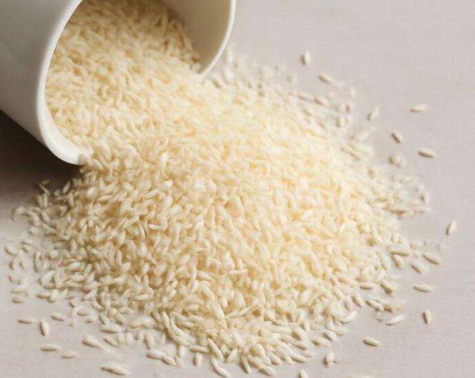 Uncooked white and brown rice stored in sealed containers